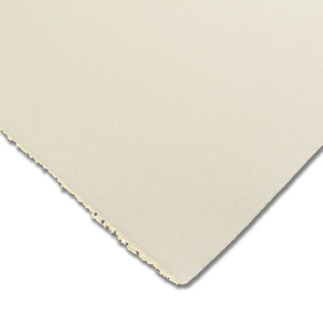 RIVES BFK TAN 22X30