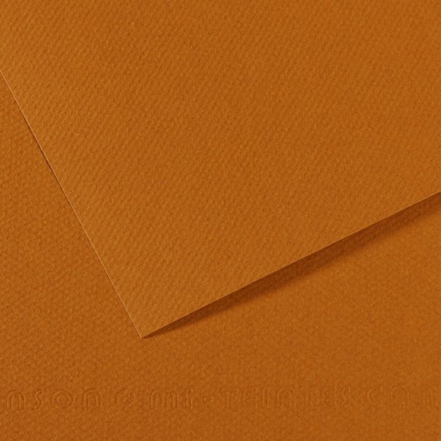 MI-TEINTES 502 BISQUE 19X25
