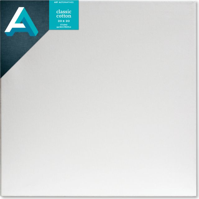 CANVAS STUDIO 20X20